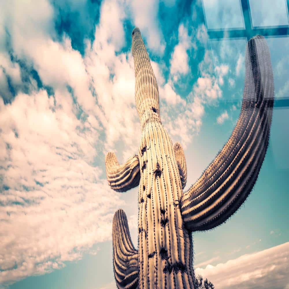 Desert Sentinel 40 in. H x 60 in. W Frameless Wall Art (1-Piece) price history on PriceWatchPro