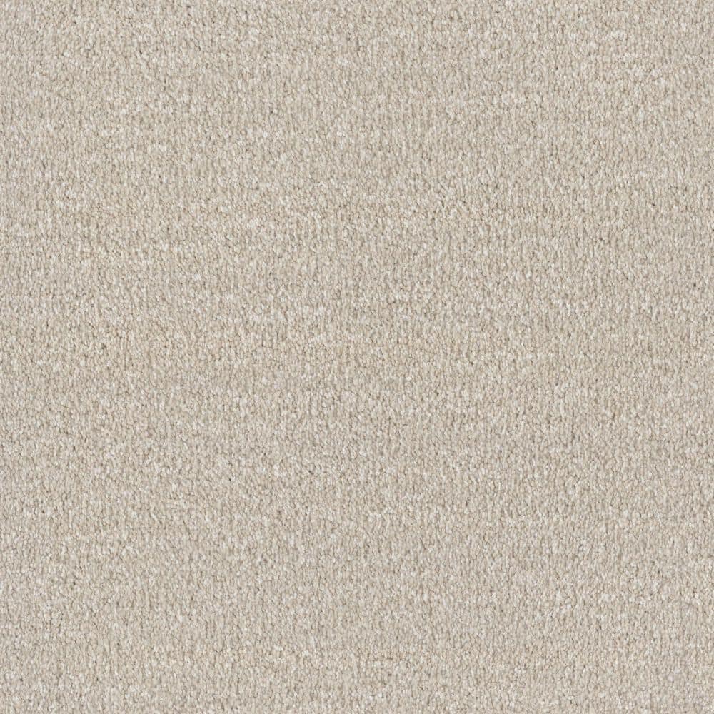 8 in. x 8 in. Texture Carpet Sample - Fluffy Expectations - Color Almond price history on PriceWatchPro