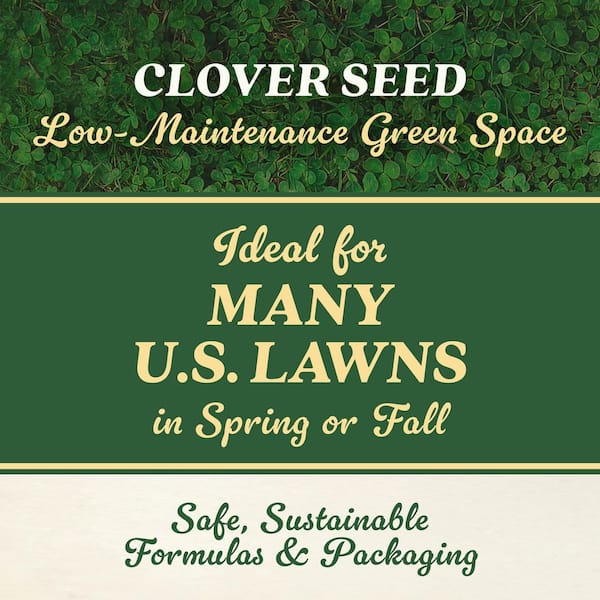 Clover Seed, 2 lb. 1,000 sq. ft. Lawn Seed Grows a Naturally Low Maintenance, Drought Tolerant Lawn