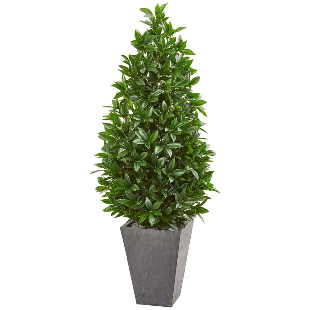 57-inch Green Bay Leaf Cone Topiary Tree in Gray Clay Planter