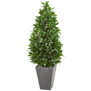Indoor/Outdoor 57-in. Artificial Bay Leaf Cone Topiary Tree in Slate Planter