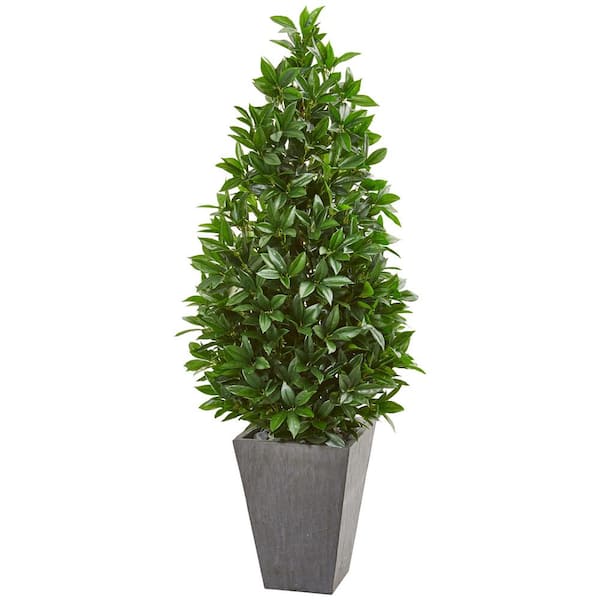 Nearly Natural Indoor/Outdoor 57-in. Artificial Bay Leaf Cone Topiary Tree in Slate Planter