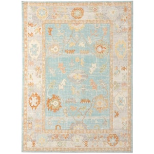 Bohemian 9 ft. X 12 ft. Aqua Border, Floral, Oriental Area Rug