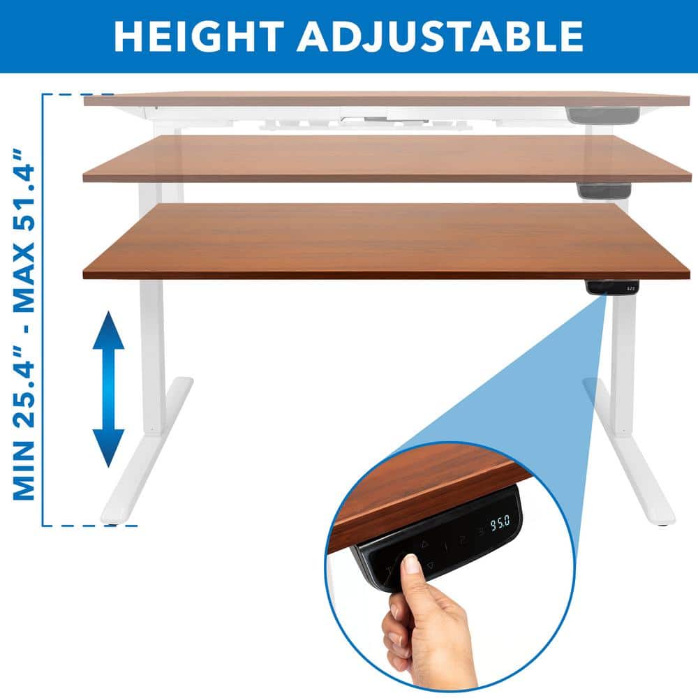 ErgoMaster Pro White Electric Sit/Stand Desk with Brown Top and Dual Motor