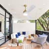ceiling-fans-with-lights-zt-w882140942-31-hotspot.2