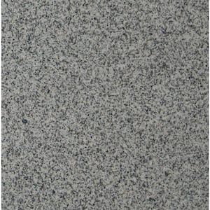 White Sparkle 12 in. x 12 in. Polished Granite Floor and Wall Tile (5 sq. ft. / case)