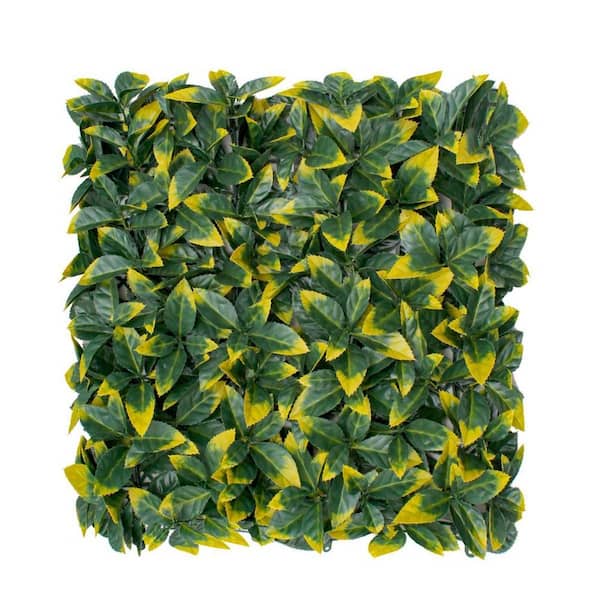 20 in. H x 20 in. W Plastic Artificial Ivy Phoenix Boxwood Hedge Privacy Garden Fence for Home Backyard Garden, 1-Pieces
