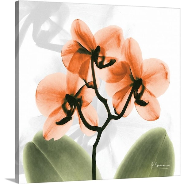 GreatBigCanvas "Orange Orchid x-ray photography" by Albert Koetsier Canvas Wall Art