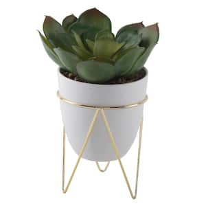 8.5 in. Artificial Faux Succulent in 4.75 in. White Pot on Gold Metal Stand