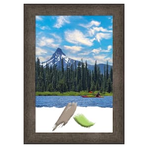 Dappled Light Bronze Wood Picture Frame Opening Size 20 x 30 in.