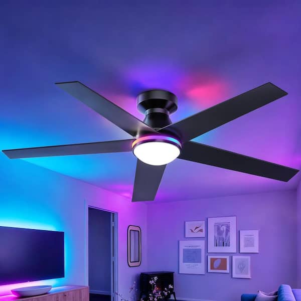 52 in. Black 5-Plywood Blades Flush Mount Standard RGB Light and Integrated LED Light Ceiling Fan with Remote Included