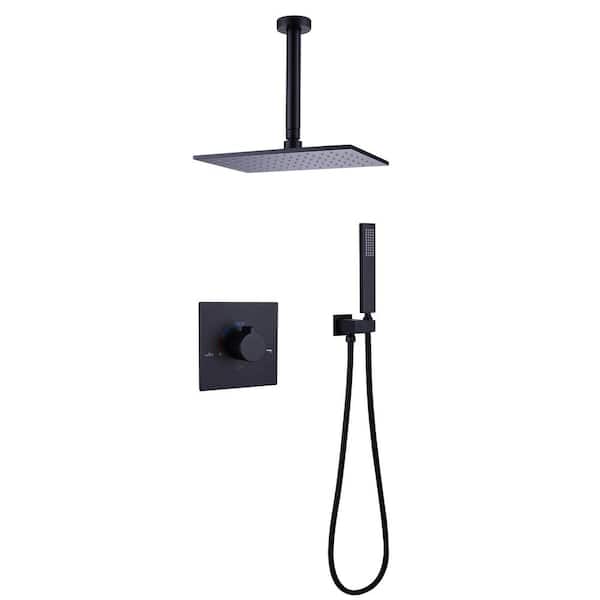 2-Spray 10 in. Single Shower Head Ceiling Mounting, Handled Shower Head with Single Knob Handle 1.8 GPM in Matte Black