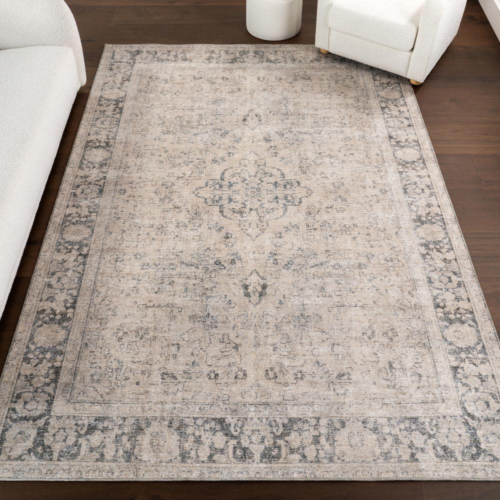 Hillstone Grey 6 ft. 7 in. x 9 ft. Traditional Vintage Medallion Area Rug price history on PriceWatchPro
