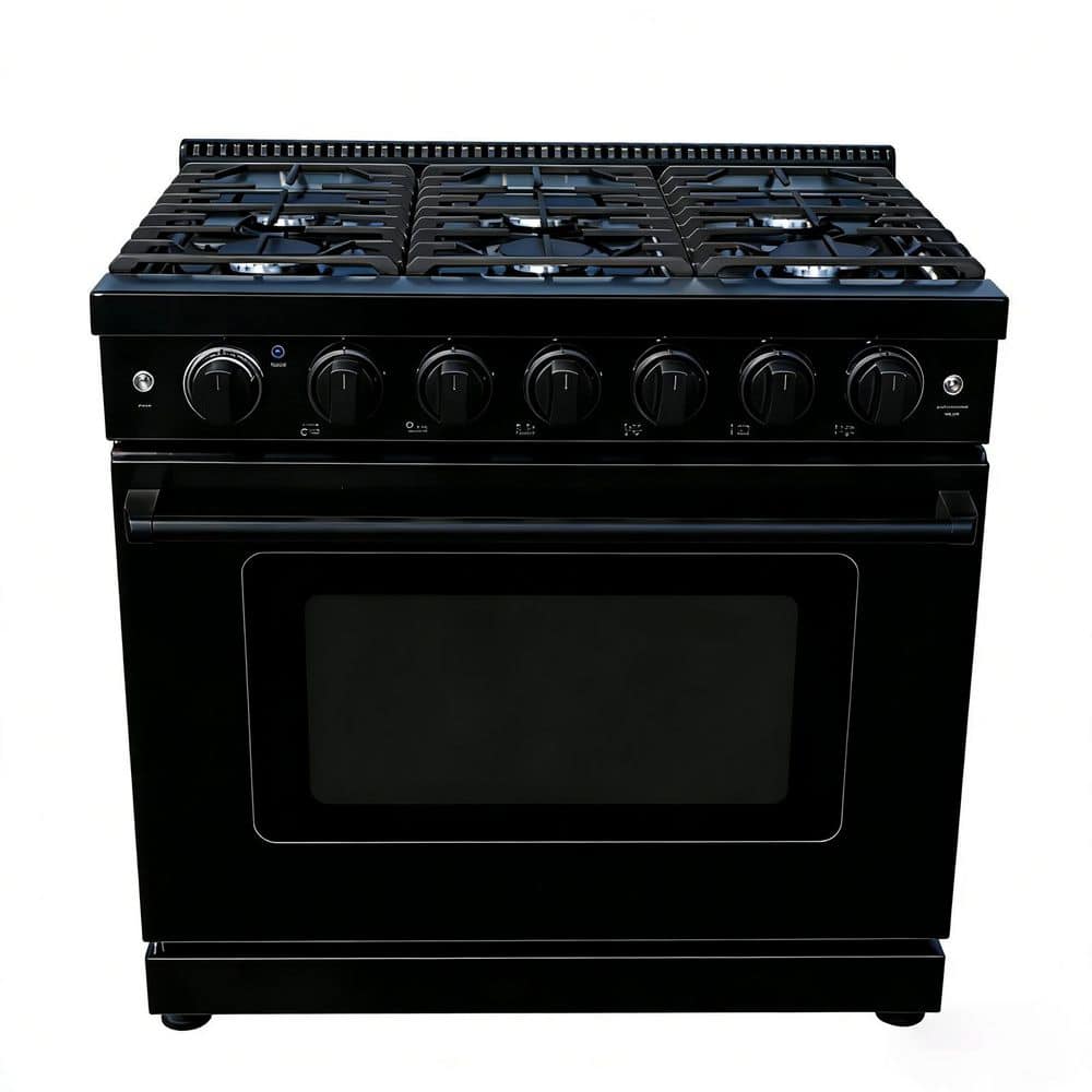 36 in. 6 Burners Slide-In Gas Range in Black with CSA Certified price history on PriceWatchPro