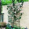 Tunearary 7.2 ft. Black Outdoor Metal Rustproof Garden Trellis, (2-Pack) W1586Pyx&L1