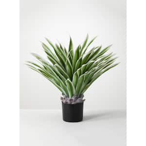 26" Artificial Green Variegated Agave in Planter