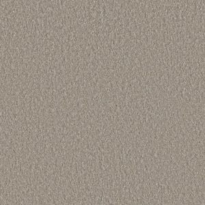 Blissful I - Jolly Gray - 45 oz. SD Polyester Texture Installed Carpet
