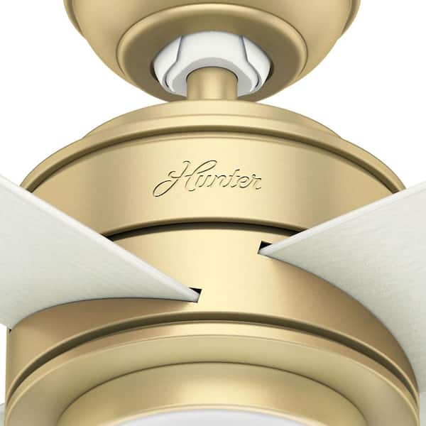 Hunter - Hepburn 52 in. Modern Brass Indoor Ceiling Fan with LED Light Kit and Wall Control