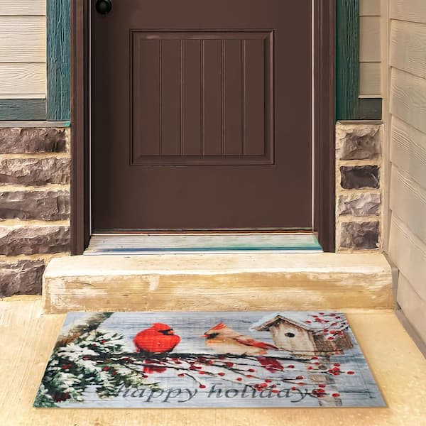  Door Mats Indoor Outdoor Mat for Home Entrance 17.5