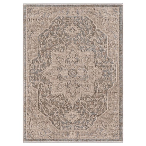 Solara 2 ft. x 3 ft. Gray Medalion Scatter Rug