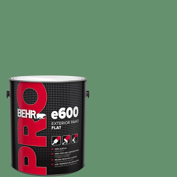 BEHR PRO 1 gal. #460D-6 Manchester Flat Exterior Paint