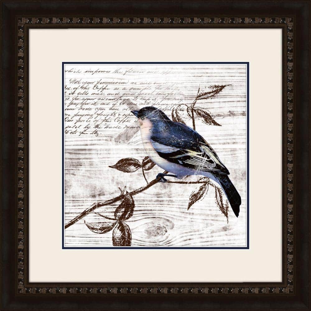 19 in. x 19 in. Fluttering C Framed Wall Art