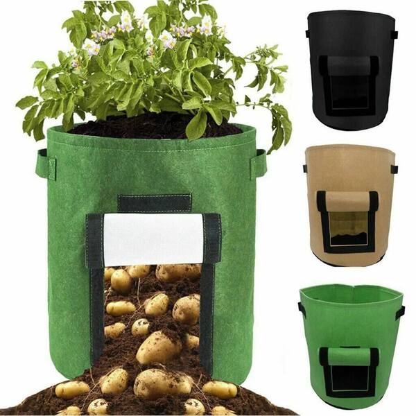Cubilan 10 Gal. Green Planter Potato Grow Bag, Heavy-Duty Breathable Cloth  with Handles for Potatoes and More (2-Pieces) 851522753 - The Home Depot