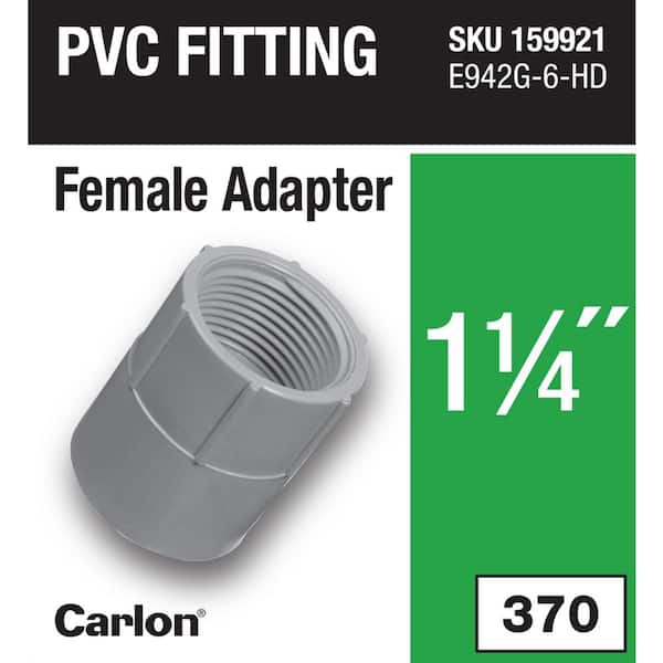 1-1/4 in. Electrical PVC Female Adapter (E942G-6-HD)