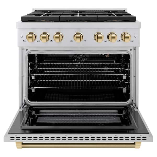 Autograph 36 in. Paramount Gas Range with 6 Burner DuoPro Cooktop and Gas Oven in Stainless Steel w/ Gold Helix Handle