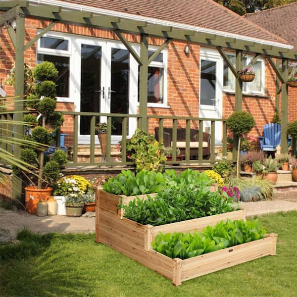 13 best raised garden beds to grow plants anywhere