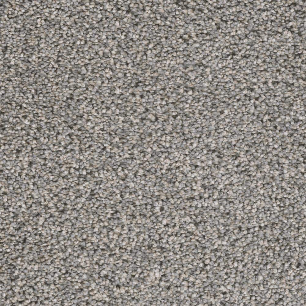 8 in. x  8 in. Texture Carpet Sample - Fall Skies I -Color County Fair price history on PriceWatchPro