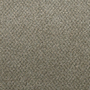 Sweet Dreams II - Jasper - Beige 68 oz. SD Polyester Texture Installed Carpet