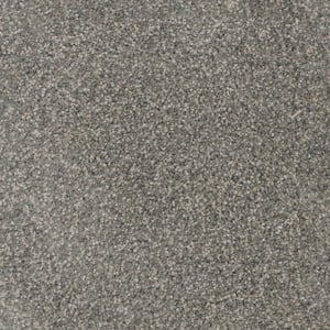 Affectionate II - Embrace - Green 55 oz. SD Polyester Texture Installed Carpet