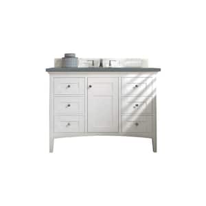 Palisades 48.0 in. W x 23.5 in. D x 35.3 in. H Bathroom Vanity in Bright White with Cala Blue Quartz Top