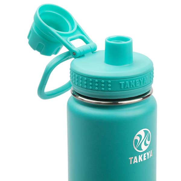 ThermoFlask 22 oz Insulated Stainless Steel Straw Water Bottle, Peaceful 