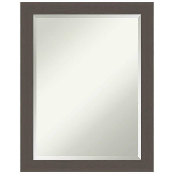 Amanti Art Brushed Pewter 21.5 in. H x 27.5 in. W Framed Wall Mirror