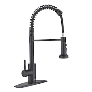Boyel Living Stainless Steel Faucet Black Single-Handle Faucet Pull ...