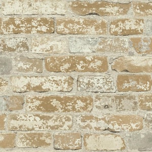 Stuccoed Brown Brick Peel and Stick Wallpaper (Covers 28.18 sq. ft.)