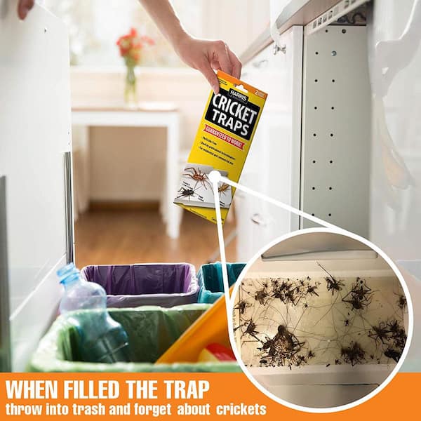 Harris Pantry Moth Traps, 2 pk. at Tractor Supply Co.