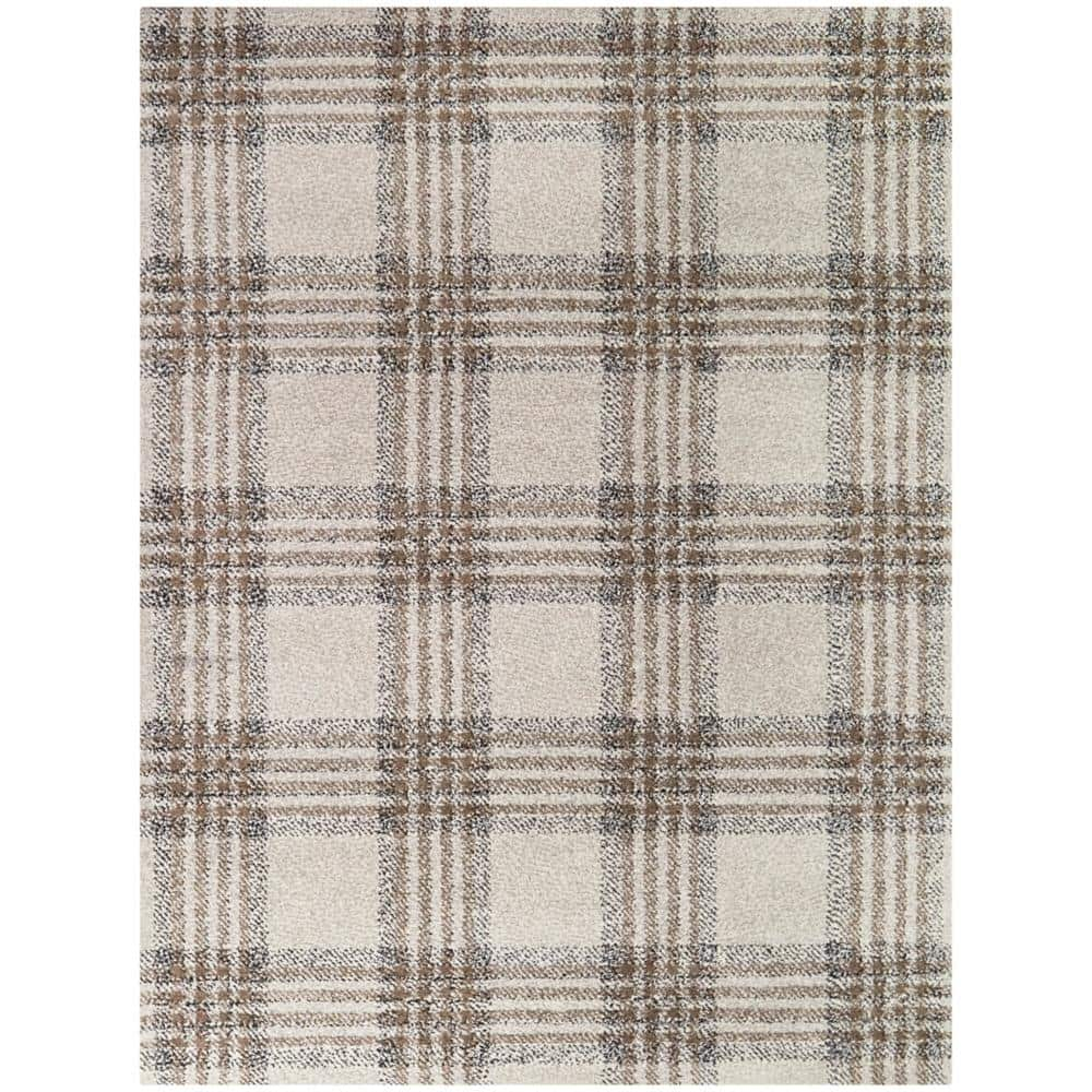 Monte Brown 5 ft. x 7 ft. Plaid Area Rug