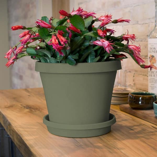 2 x Vista Garden Flower Herb Plant Grow Pot Colour Plastic Round Indoor Outdoor 