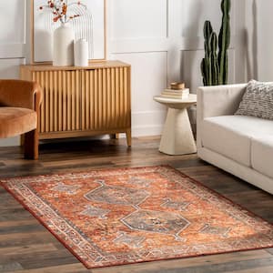 Ashen Medallion Border Machine Washable Red 4 ft. x 6 ft. Traditional Area Rug