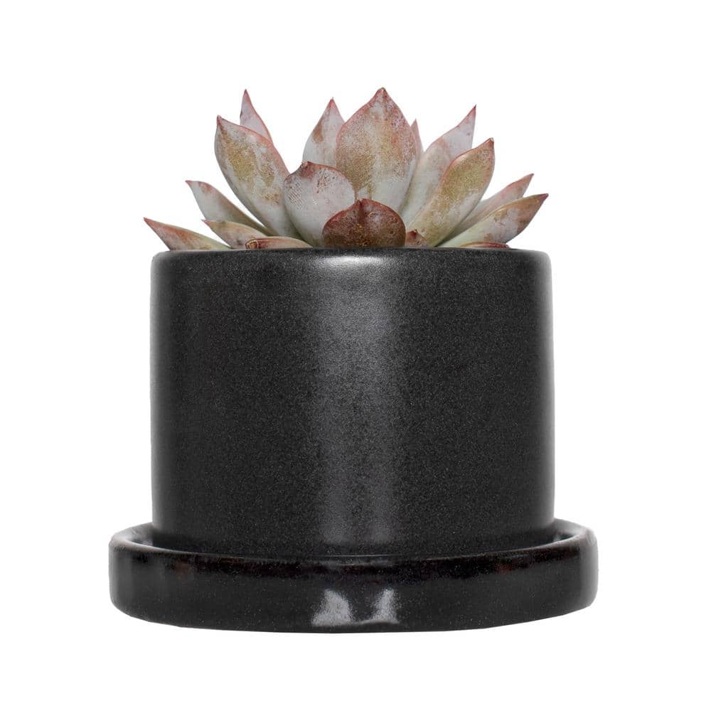 EcoChic Cream 9" Round Natural Fiber Indoor Planter with Saucer