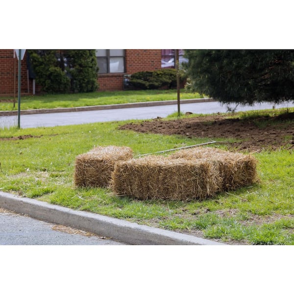 Wheat Straw Mini Bales – HALL'S HAY