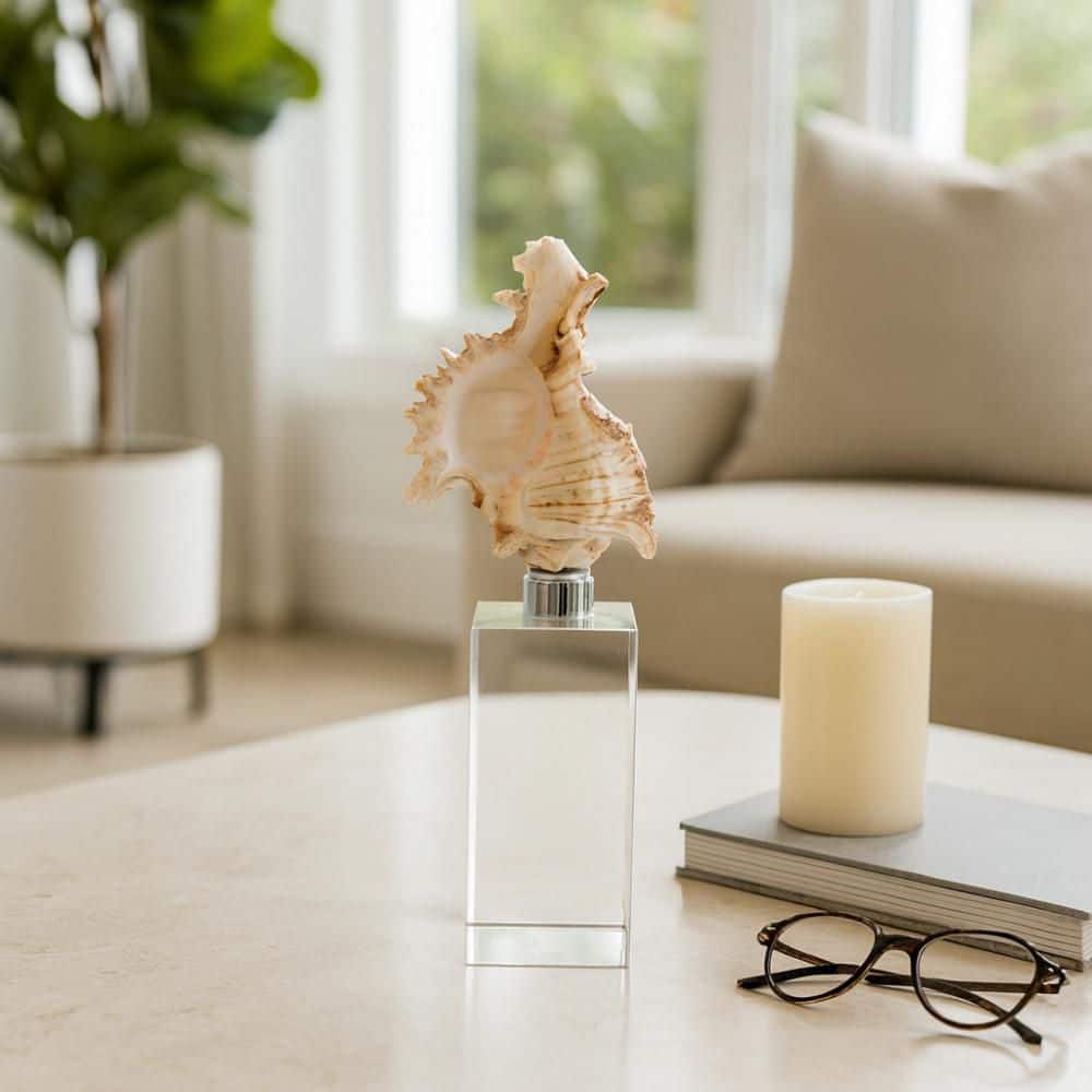 Ivory/Clear 3 in. x 8 in. Glass Decorative Shell Sculpture on Crystal Base price history on PriceWatchPro