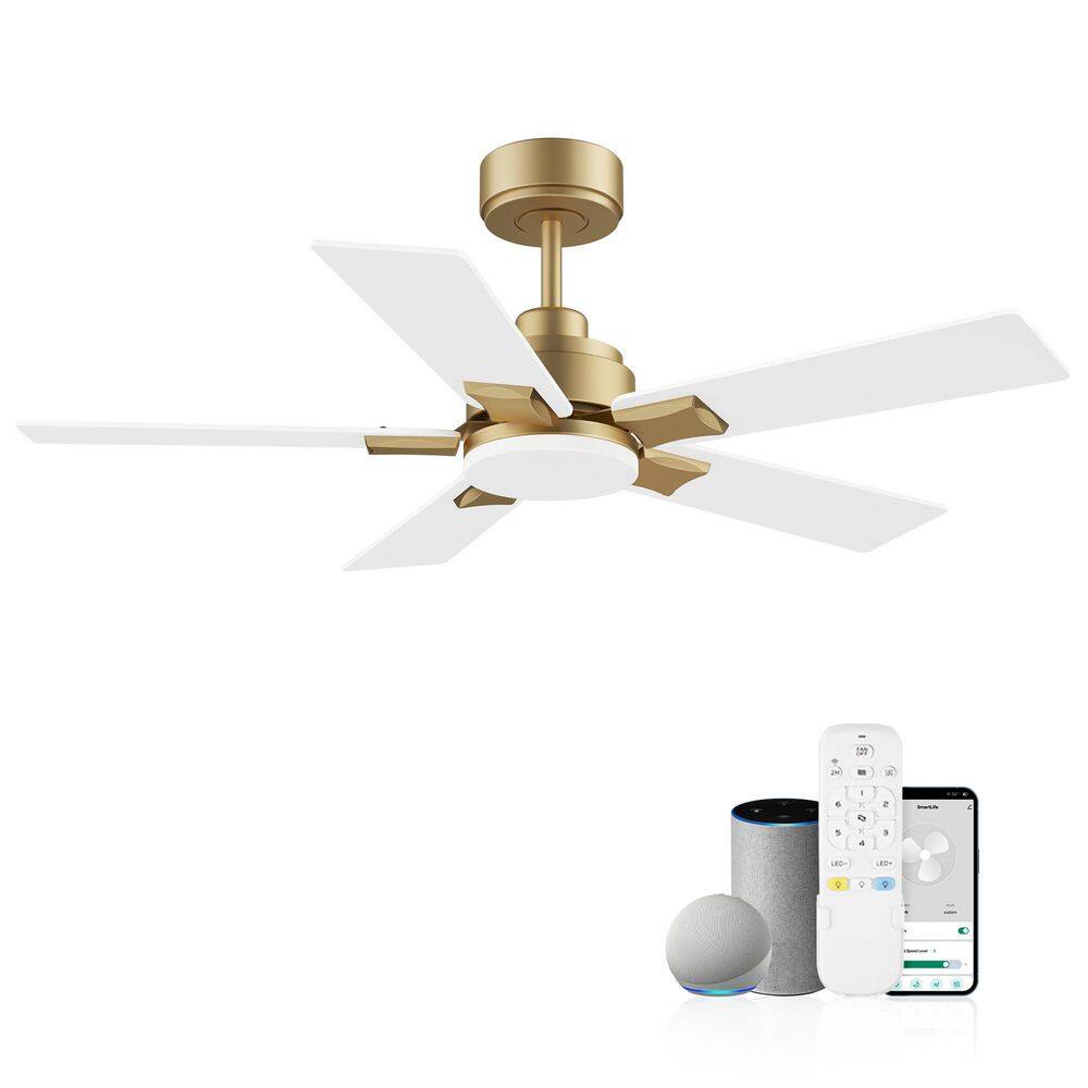 42 in. Smart Gold 5 Blades Downrod Standard Ceiling Fans with Lights and Remote, WiFi Alexa App Workable, DC Motor price history on PriceWatchPro