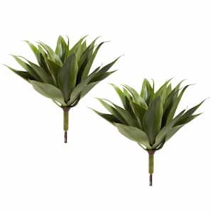 17 in. Agave Succulent Plant (Set of 2)
