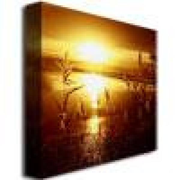 Golden Sunset Photography on Canvas with Frame, 35" x 35"