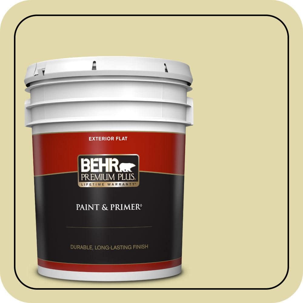 5 gal. Home Decorators Collection #HDC-CT-27A Fresh Willow Flat Exterior Paint & Primer price history on PriceWatchPro