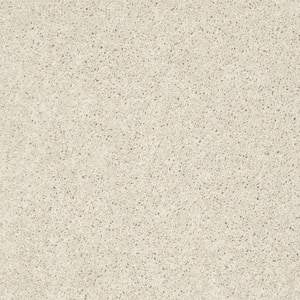 Palmdale I - Bamboo Bluff - Beige 17.6 oz. Polyester Texture Installed Carpet